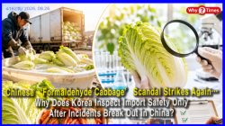 Chinese ‘Formaldehyde Cabbage’ Scandal Strikes Again… Why Does Korea Inspect Import Safety Only After Incidents Break Out in China?