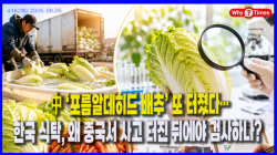 [Why Times 정세분석 4162]  中 ‘포름알데히드 배추’ 또 터졌다…한국 식탁, 왜 중국서 사고 터진 뒤에야 검사하나?