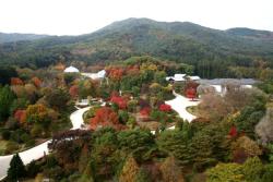 광릉숲 등 산림 5곳, 세계 보호·보전지역 데이터베이스 등재