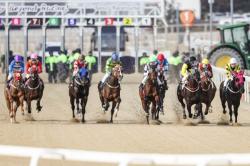 한국마사회, 9월 10일·17일 온라인 전용 `목요경마` 시행
