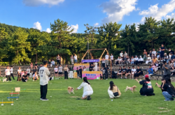 원도심 넘어 서부산까지… ‘별바다부산’ 야간관광 확산