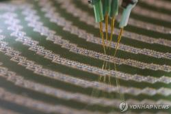 유럽 반도체 첨단기술 노린 중국계 신종 ‘복제 스파이’ 적발