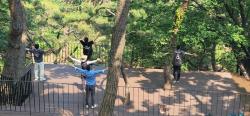 경기도, 가을철 공립 ‘치유의숲’ 4곳서 맞춤형 산림치유 프로그램 운영