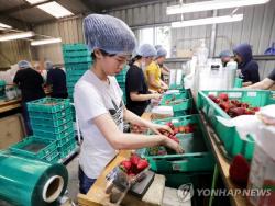 호주 정부, 워킹홀리데이·유학생 비자 대폭 축소하며 이민 문호 대폭 축소