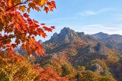 설악산 첫 단풍 관측…절정은 10월 20일 전망