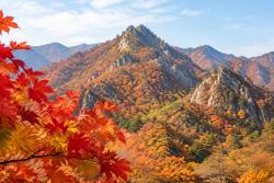 설악산 첫 단풍 관측…산림청 절정 전망은 10월 20일