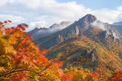 설악산 첫 단풍 9월 28일 관측…평년과 같아
