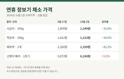 연휴 장보기 채소값…2주 전보다 애호박 내리고 배추 올라