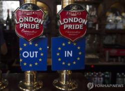 영국 유권자 절반 EU 재가입 희망… 버넘 총리 '복귀 카드'에 여론 응답