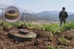 합참, DMZ 폭발 원인 북한군 매설 지뢰로 최종 판단