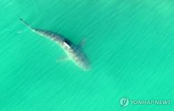 "부캉이 보러왔어요"…부산 북항·시민공원 나들이객 북적