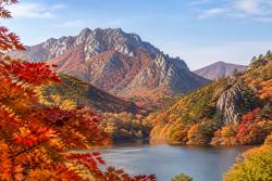 설악산 10월 20일 절정…한라산은 11월 6일