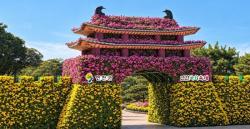 연천군, 오는 16일 전곡리유적서 ‘제8회 연천국화축제’ 개막
