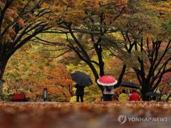 오늘 밤부터 기온 급하강…내일 아침 대부분 지역 10도 이하