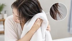 젖은 머리 수건으로 세게 비비면 모발 손상 우려