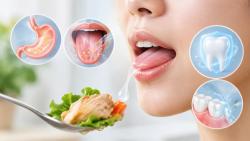 “침은 음식만 적시는 걸까?” 치아 보호와 맛 감지까지