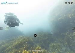 독도 바닷속 생태계, 360도 VR·동화로 만난다