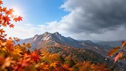 북한산 단풍 절정 관측 전…토요일 맑고 일요일 밤 비